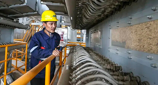 5000T/D植物油料預浸及1000T/D精煉生產線