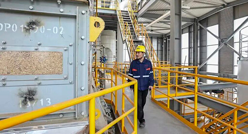 邁安德承建5000T/D植物油料預浸及1000T/D精煉生產線